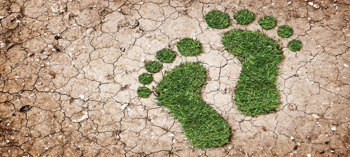 7 Green Upgrades That Will Reduce Your Home’s Footprint