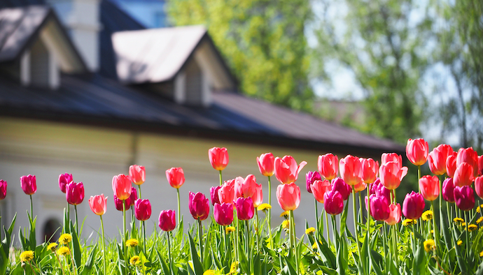 RE/MAX 2018 Spring Market Trends Report - RE/MAX Canada News