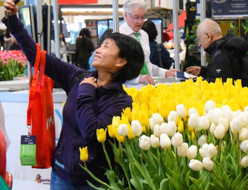 Top 10 Reasons to Visit a Home Show in 2026
