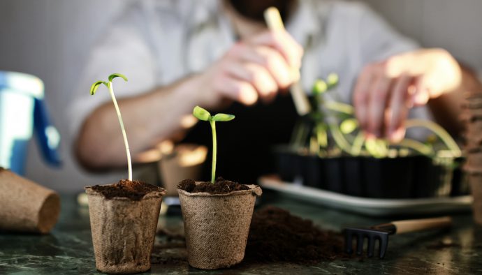 Indoor Gardening Lets You Grow Greens in Any Space