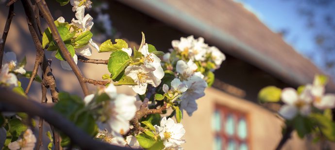 Benefits of Listing Your Home in the Spring - RE/MAX Canada