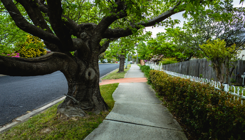 Best Places to Live 2020: Chilliwack Real Estate