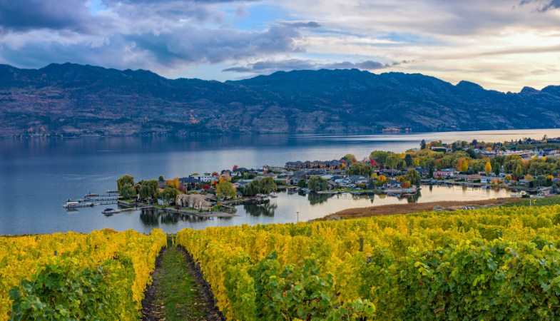 Okanagan real estate