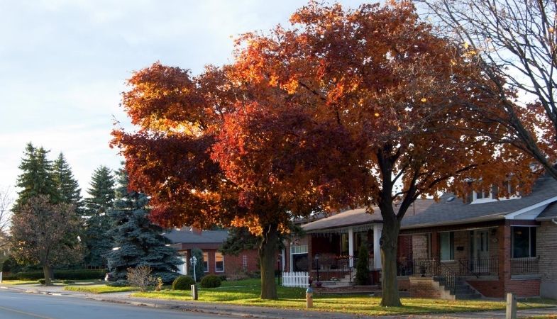 Toronto Housing Market: RE/MAX Fall 2021 Outlook