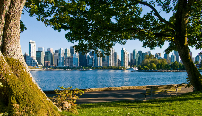 Condo Trends in the Vancouver Real Estate Market