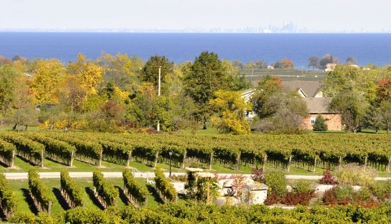 Niagara Real Estate: Demand Continues to Outpace Supply