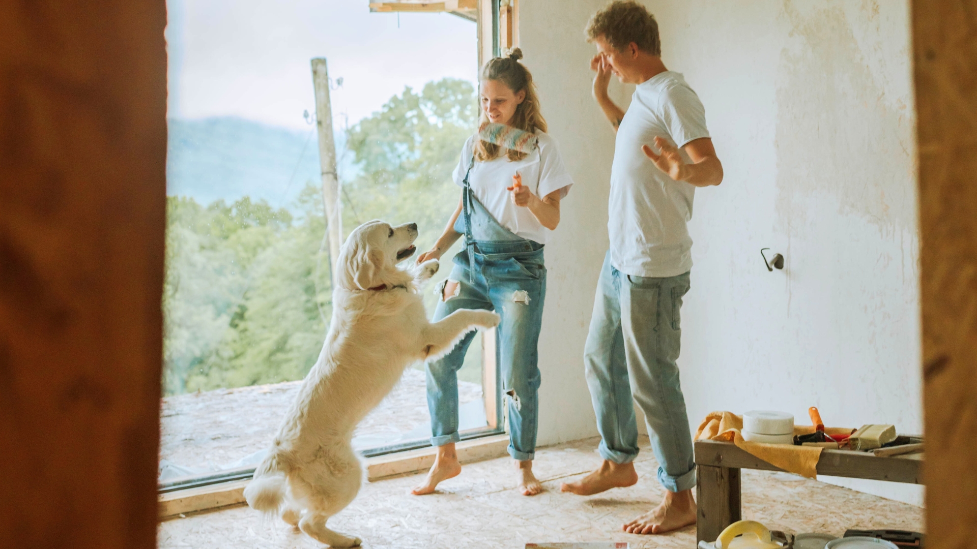 Top Tips for Making Your Home Renovation Pet-Friendly