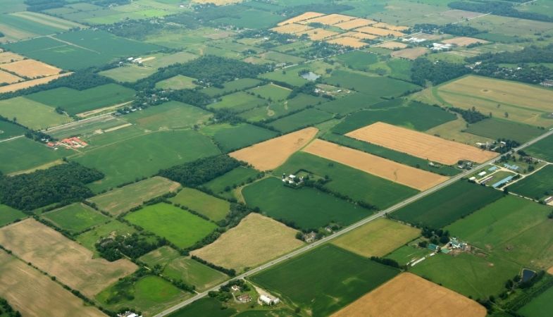 Ontario Land Development Meant Loss of 175 Acres of Farmland Per Day Last Year