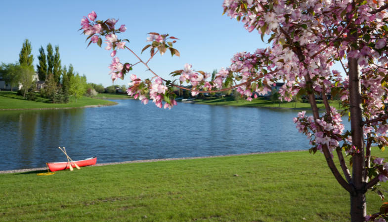 5 Great Reasons to Move to Manitoba