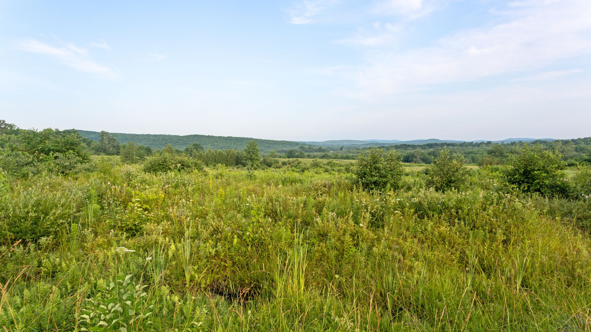 Everything You Should Know About Buying Vacant Land in Canada