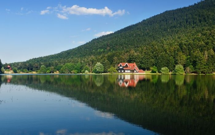 Real Estate News & Blog - RE/MAX Canada