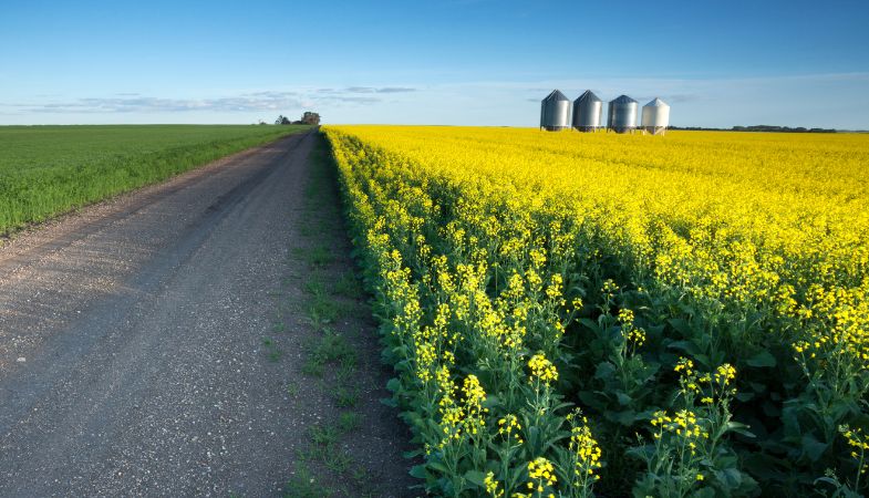 Saskatchewan Farmland is Growing More Valuable