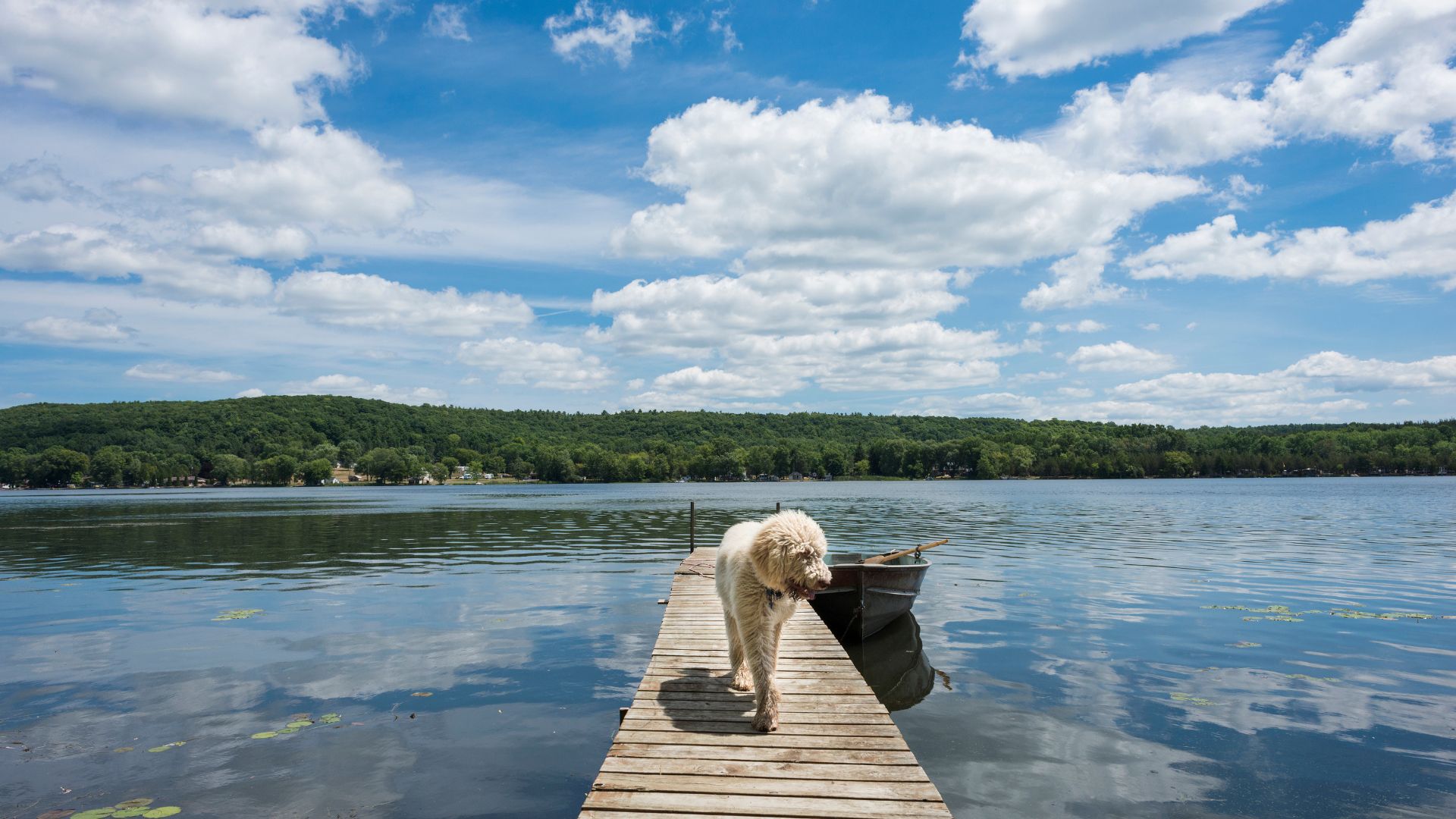 Can You Afford to Inherit your Family Cottage in Canada?