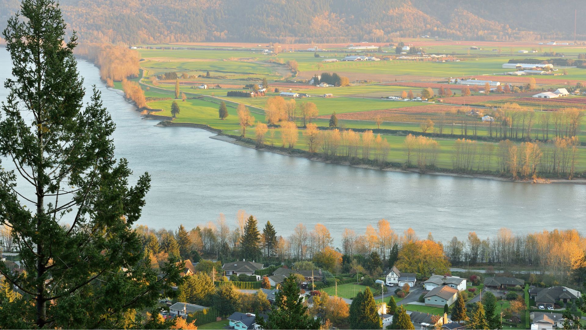 A Historical Perspective of the Fraser Valley Housing Market