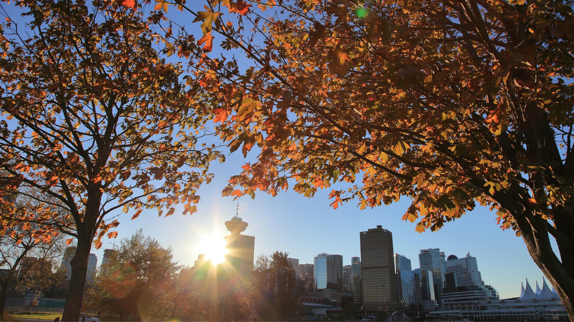 DIY | Welcoming Fall - RE/MAX Canada