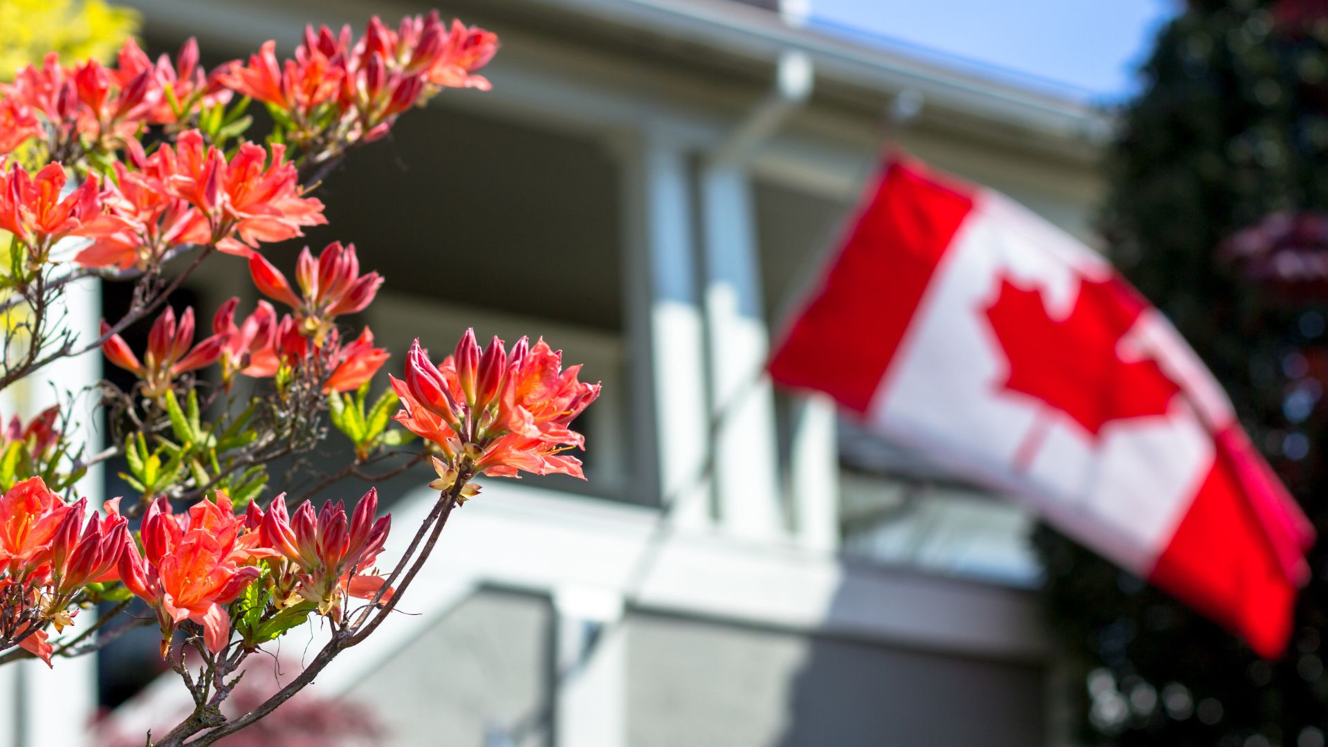 RE/MAX: Deeply and Proudly Canadian