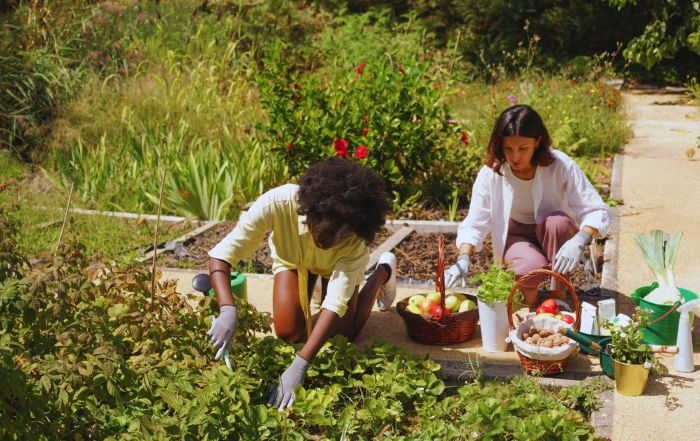 Two women in the garden talking about What Is Homesteading in Canada All About