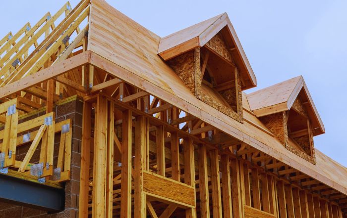 Will Carney’s Build Canada Homes Plan Make Housing Affordable?