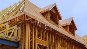 Will Carney’s Build Canada Homes Plan Make Housing Affordable?